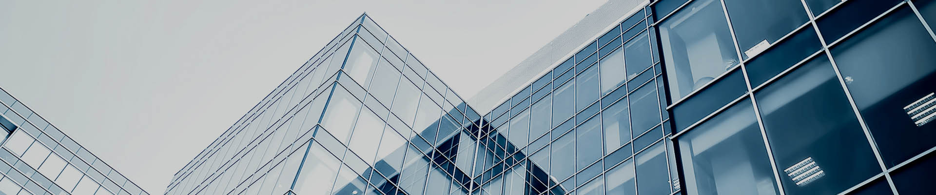 ����ɭϸ�ܹ�����