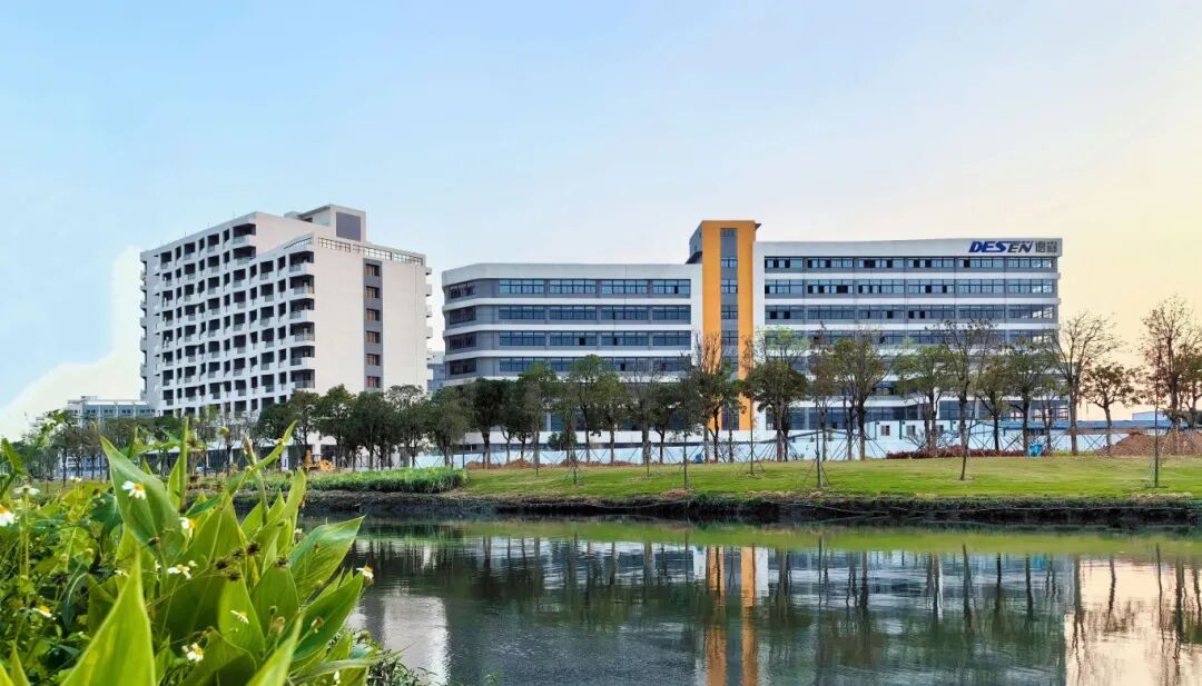 1763632804995396.jpg 5.jpg